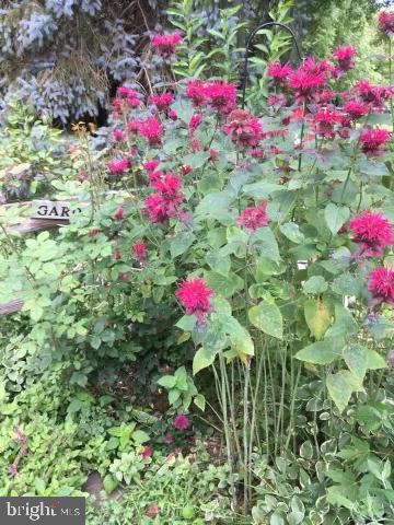 GOSHEN HUNT HILLS - Residential