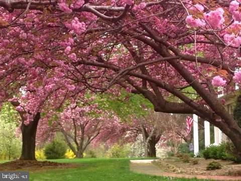 GOSHEN HUNT HILLS - Residential