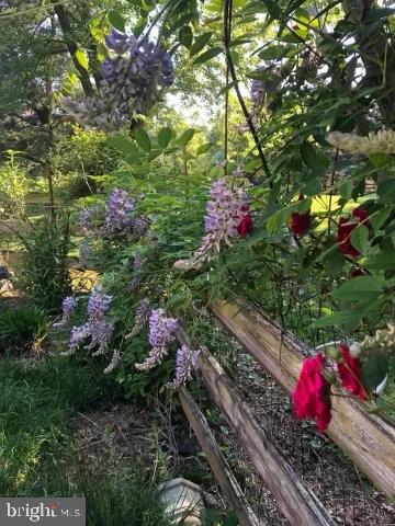 GOSHEN HUNT HILLS - Residential