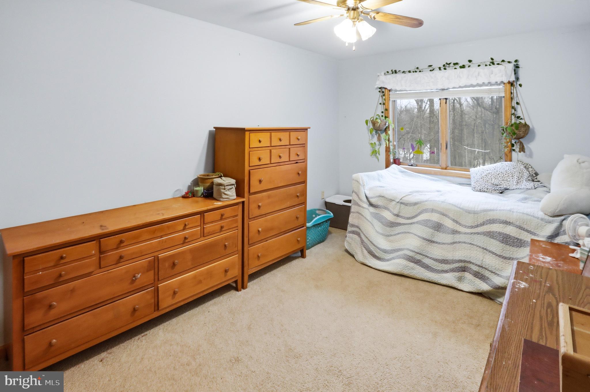 FOREST RIDGE - Residential