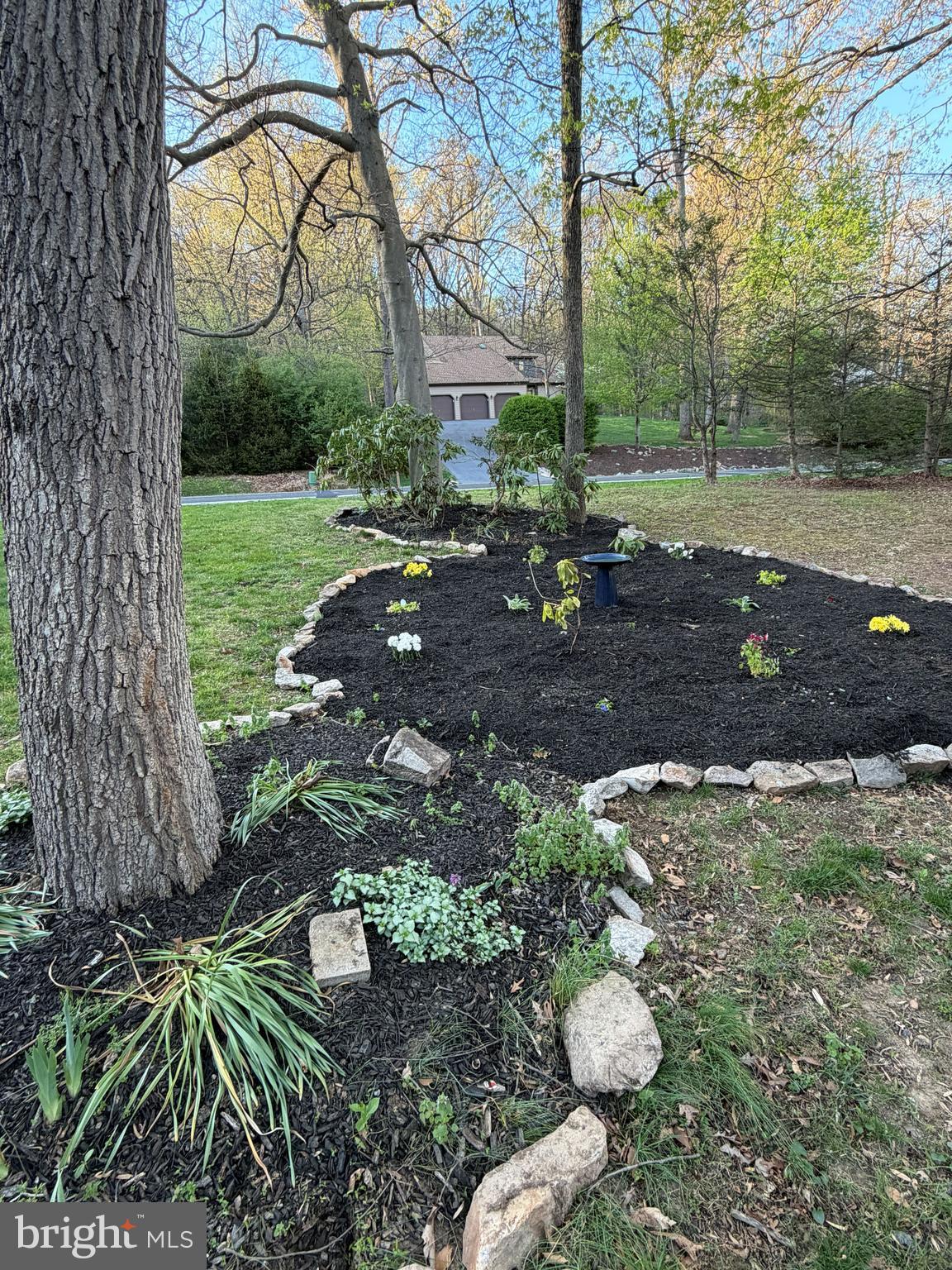 FOREST RIDGE - Residential