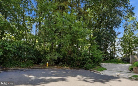 Vacant Land For Sale - Pollard<br/> ARLINGTON, VA 22201
