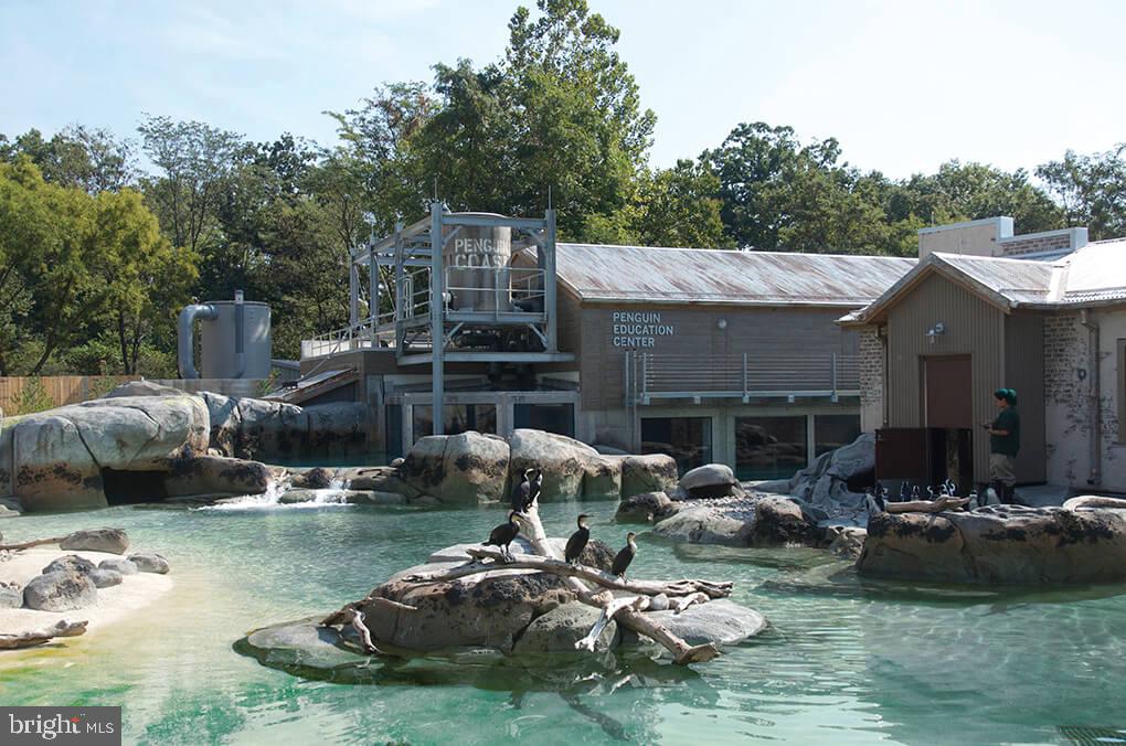 RADNOR WINSTON - Residential