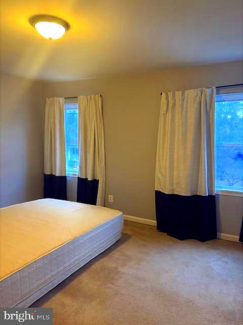 RADNOR WINSTON - Residential