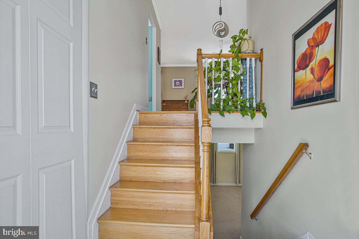 OLDE MILL - Residential