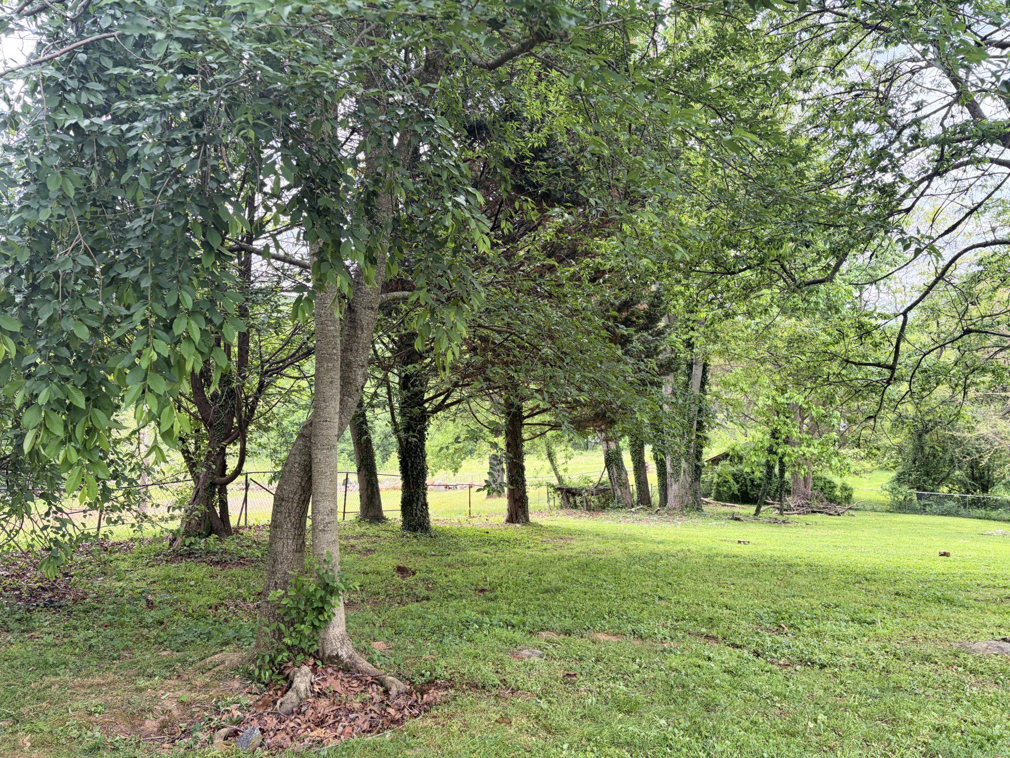 PLEASANT HILLS - Residential