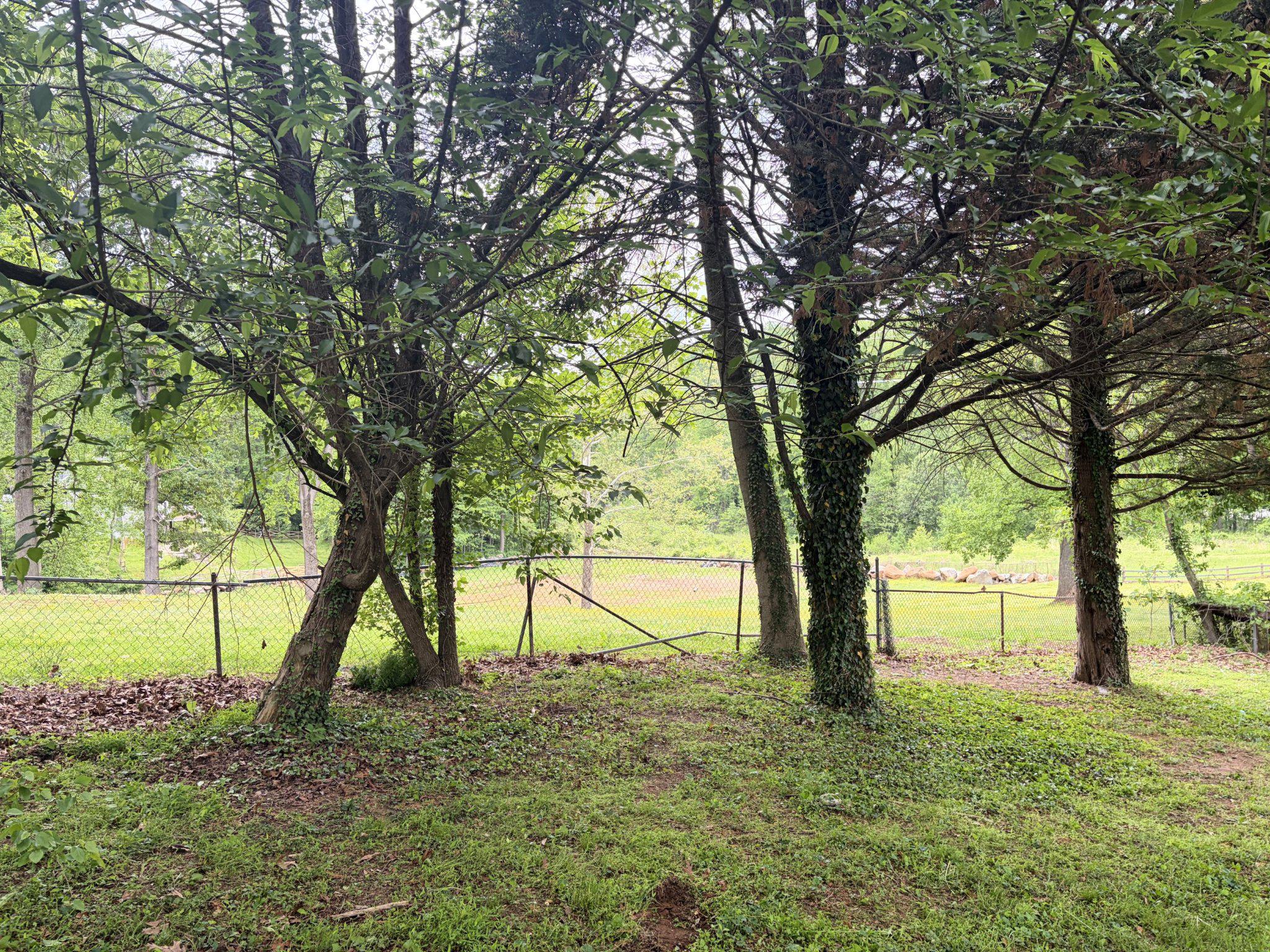 PLEASANT HILLS - Residential
