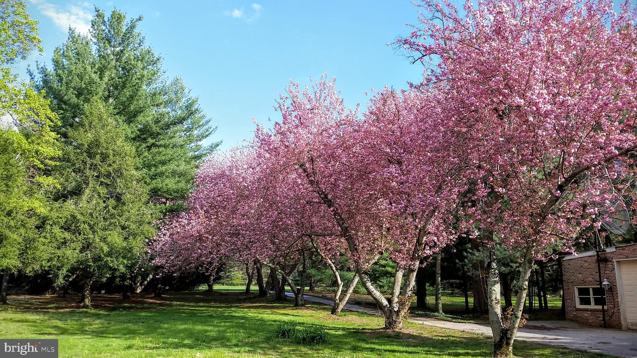 PLEASANT COVE - Residential