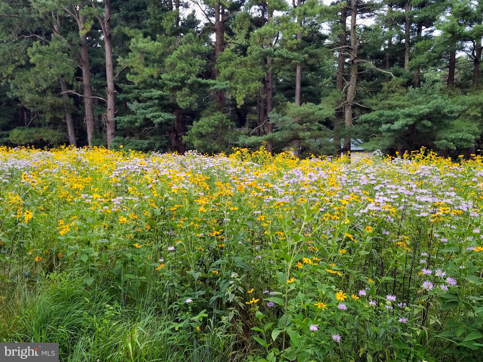 PLEASANT COVE - Residential