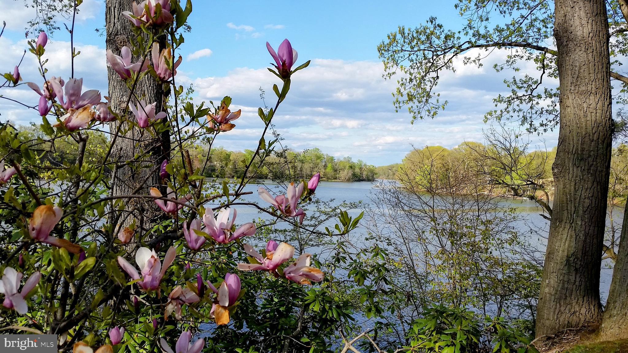 PLEASANT COVE - Residential