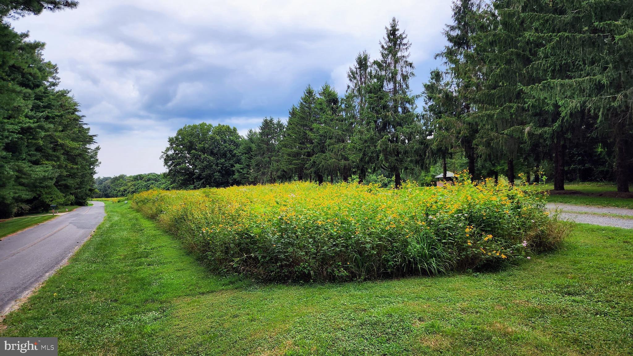 PLEASANT COVE - Residential