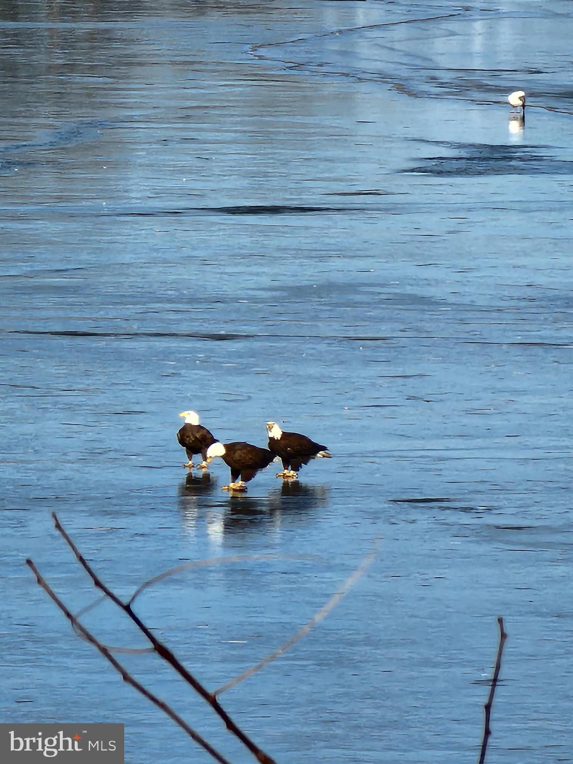 PLEASANT COVE - Residential