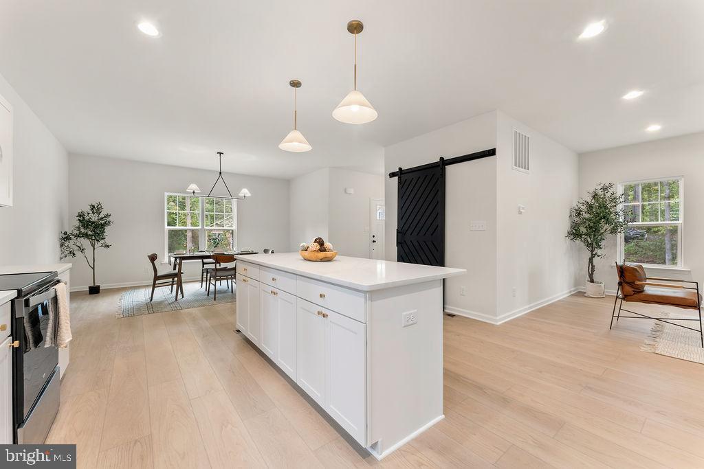 LAKE OF THE WOODS - Residential