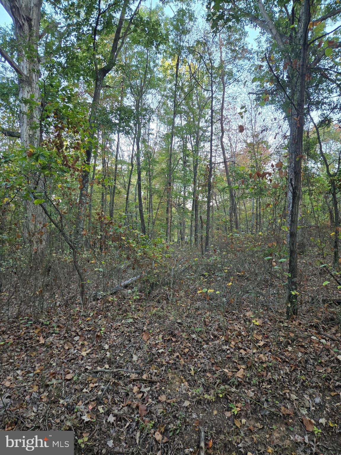 HUNGARIAN MT. TABOR - Land