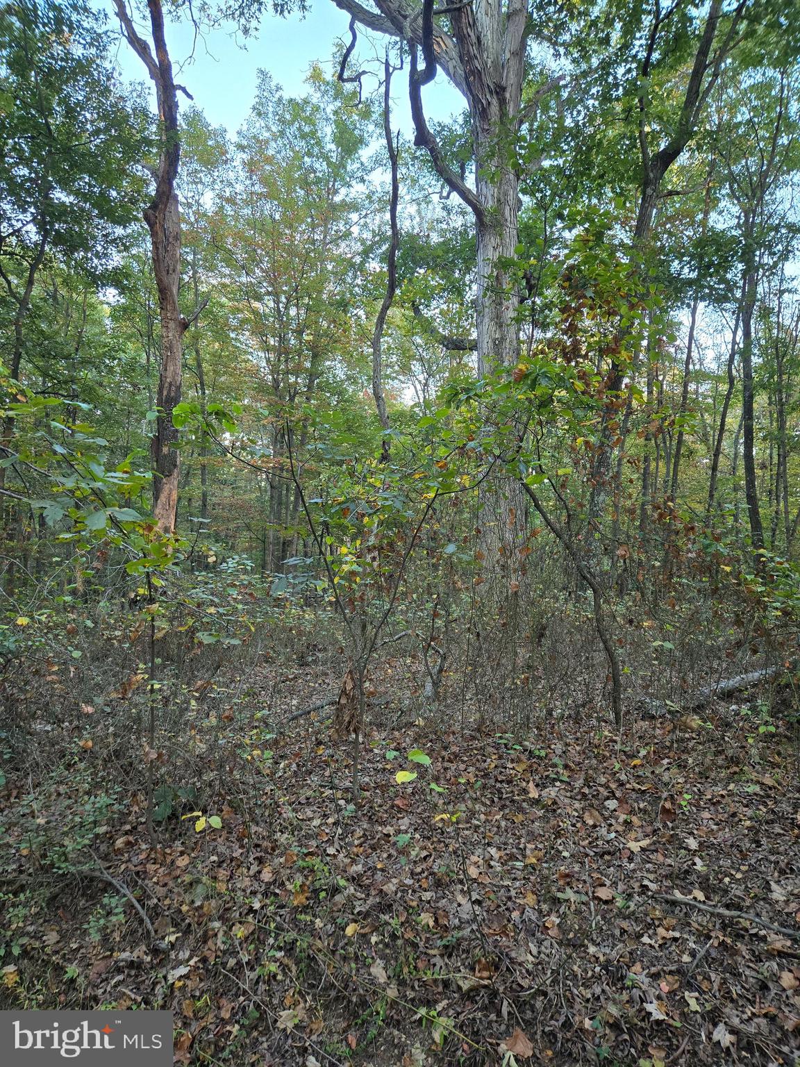 HUNGARIAN MT. TABOR - Land