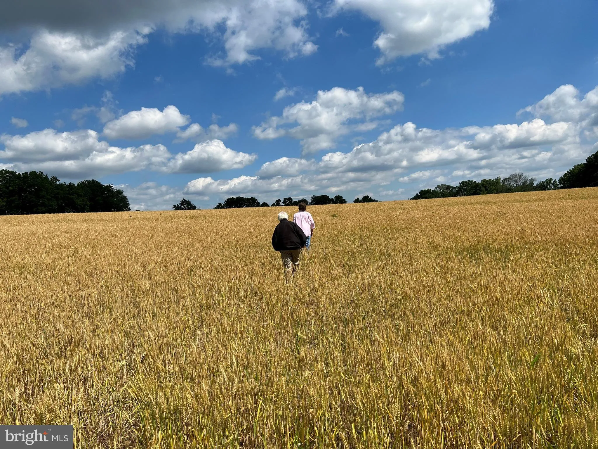 Berwyn, Pennsylvania 19312, United States, ,Land,Pending,71204