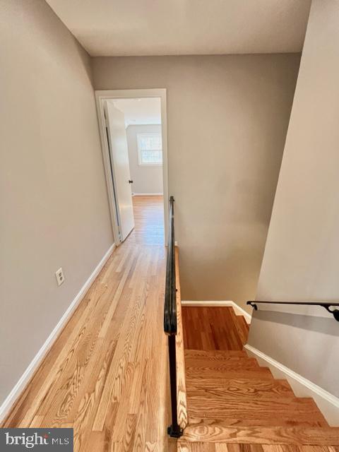 WILLERBURN ACRES - Residential Lease