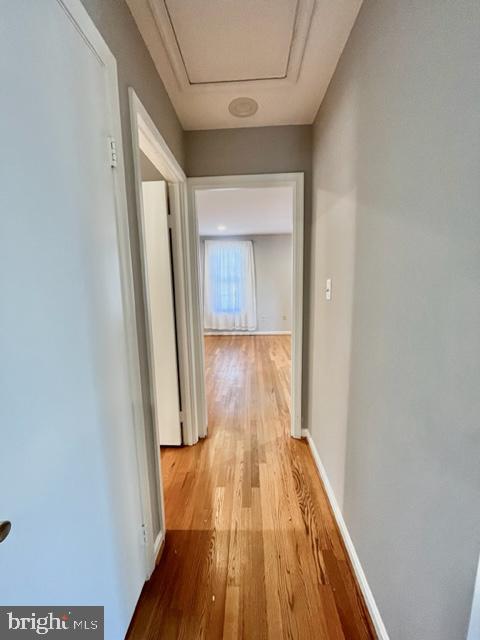 WILLERBURN ACRES - Residential Lease