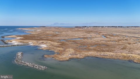 Vacant Land For Sale - Smith Island<br/> EWELL, MD 21824