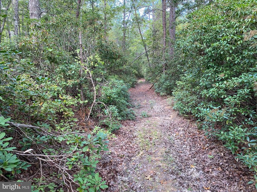 This 5-acre wooded property offers a tranquil escape, surrounded by dense forest that provides complete privacy! A gravel drive meanders through the tall trees, leading to a secluded spot perfect for a peaceful home or retreat. The air is fresh, and the forest floor is covered in a mix of leaves and soft earth, creating a natural, serene environment. An additional 5 acres lot is for sale, adjoining the main parcel, offering even more space for expansion, recreation, or maintaining your own private slice of nature. Altogether, these 10 acres create a perfect woodland sanctuary!