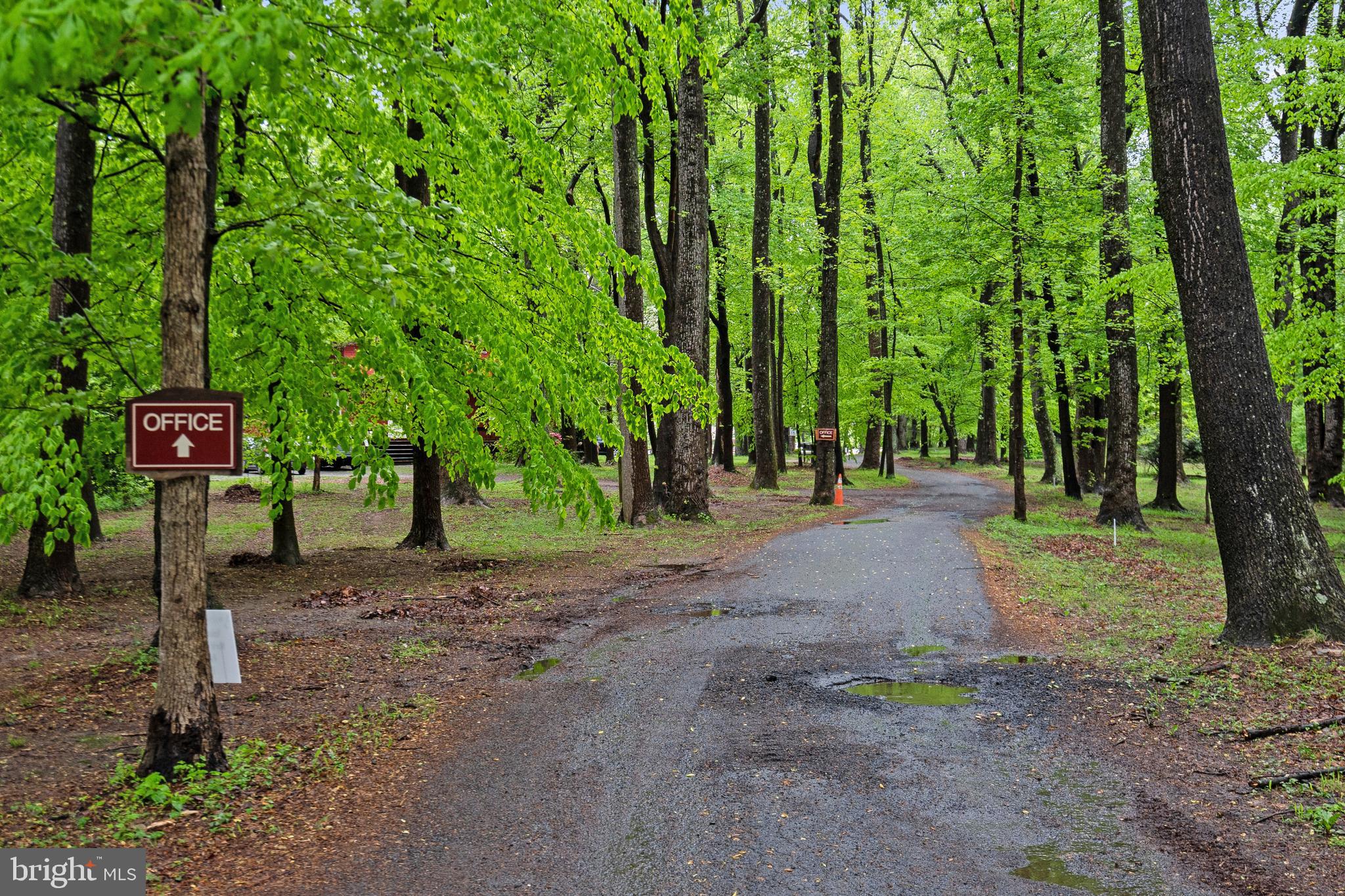 PHILLIPS DIVISION - Residential