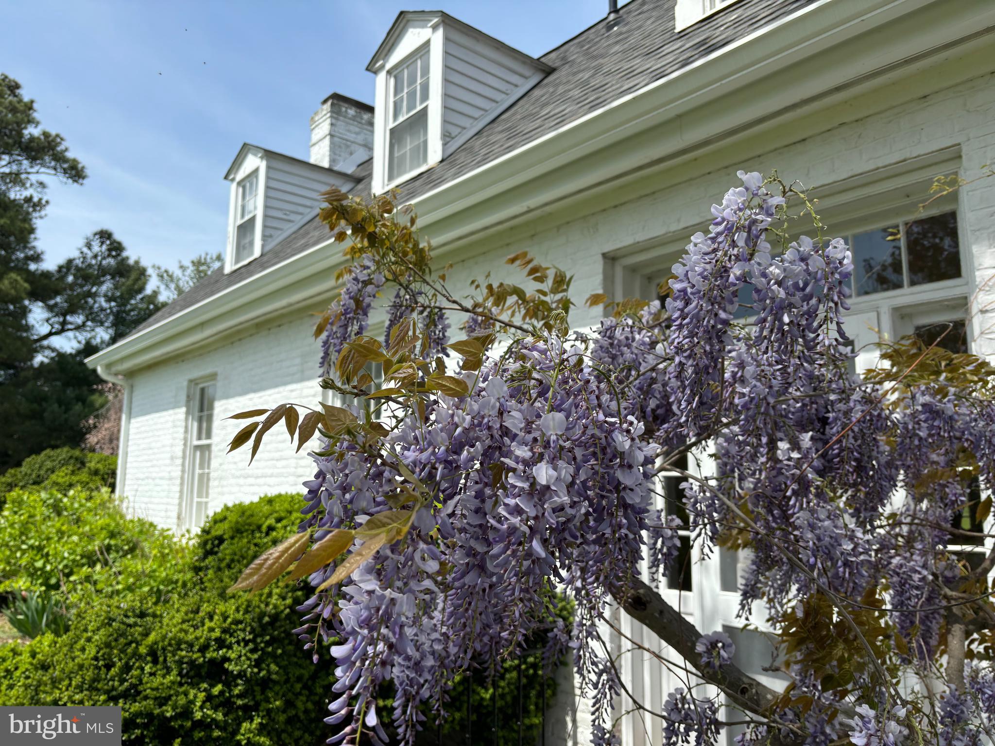 CLAIBORNE - Residential