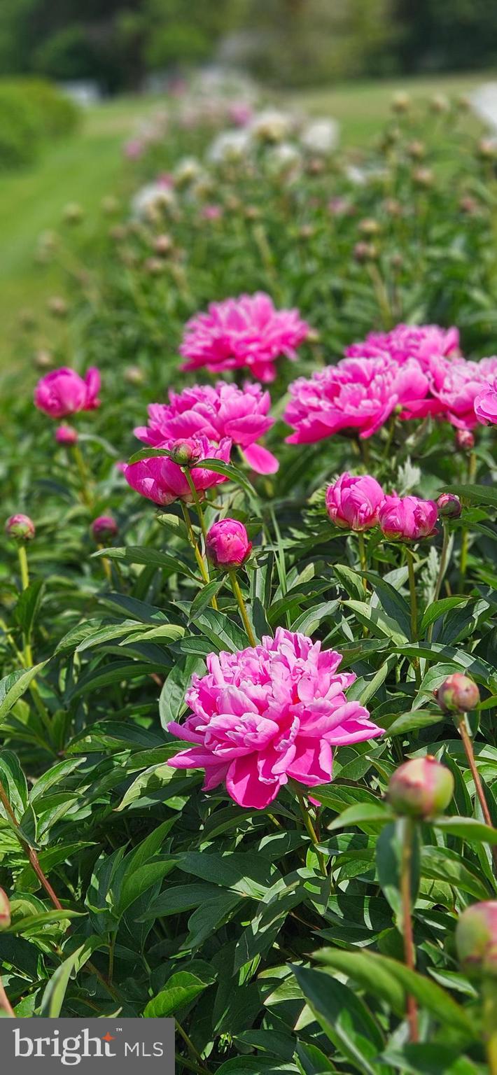 CLAIBORNE - Residential