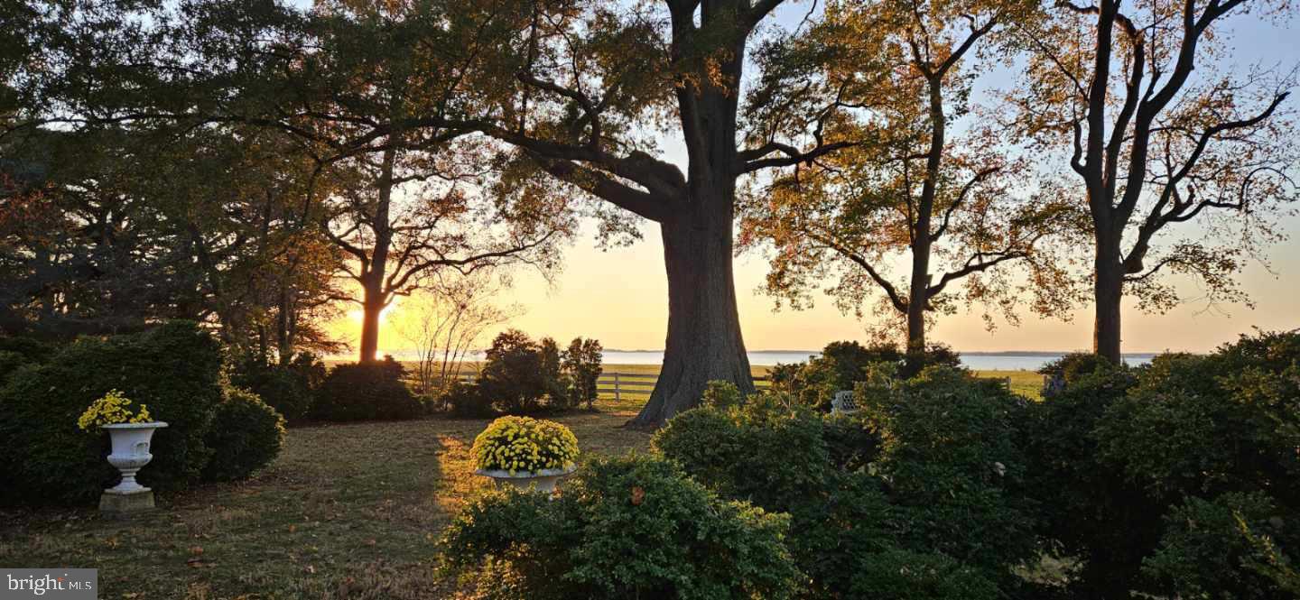 CLAIBORNE - Residential