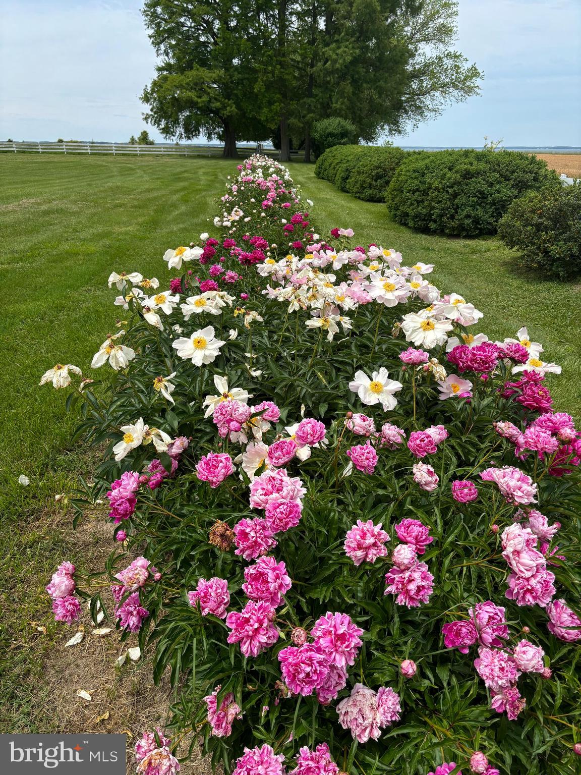 CLAIBORNE - Residential