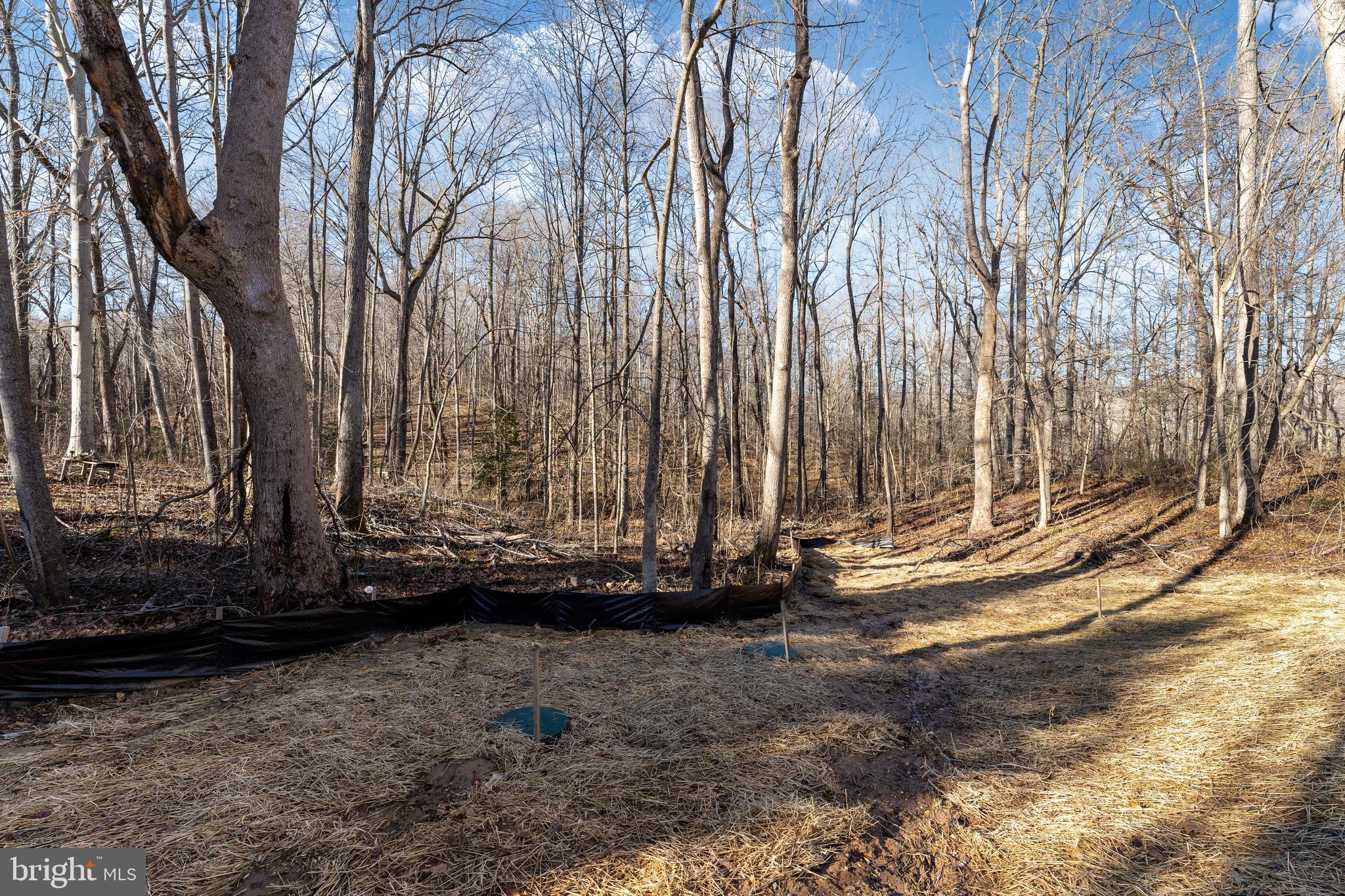 SHERWOOD FOREST - Residential