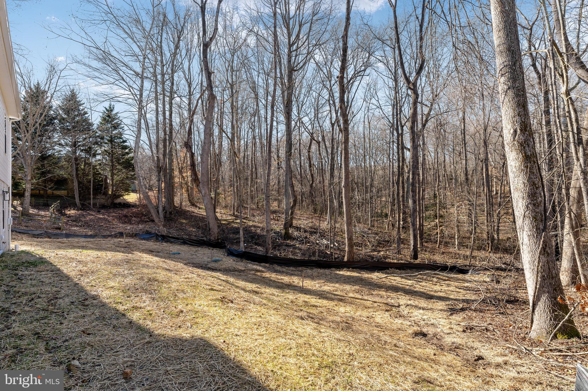 SHERWOOD FOREST - Residential