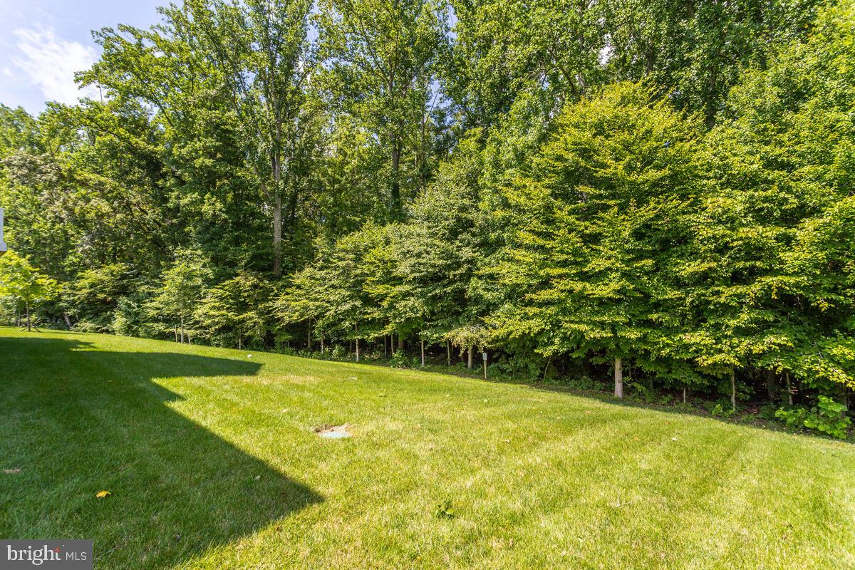 THRIFT MANOR-PLAT 1> - Residential