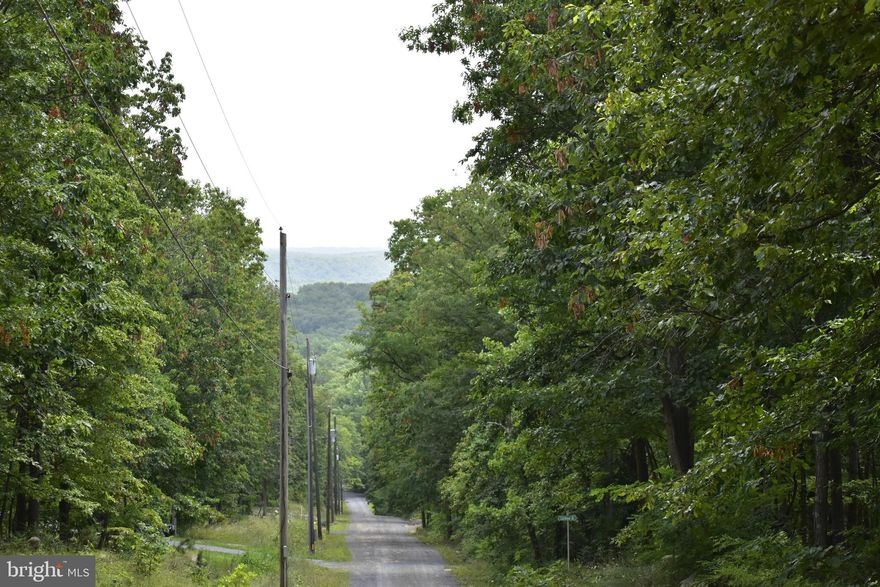 Fantastic opportunity for investor or builder. New amazing price.   4 adjoining lots in Mountain Falls Park equaling 1.5 acres These lots offer peace and tranquility. They have the perfect location, nestled against open space land.  Easy access to Winchester Hospital, I 66 and I 81.  4 bedroom Perk Cert Letter for lot 13a. The lots are also available for sale individually  HOA fee noted reflects an estimate  of 4 lots together, and is based on one owner. HOA fees are subject to change and some fees are based on number of owners.   HOA includes road maintenance, park access with pond and club house picnic shelter and walking trails.  Minimum house size is 400 square feet, mobile homes are not allowed. Great location for a mountain getaway or full time residence.