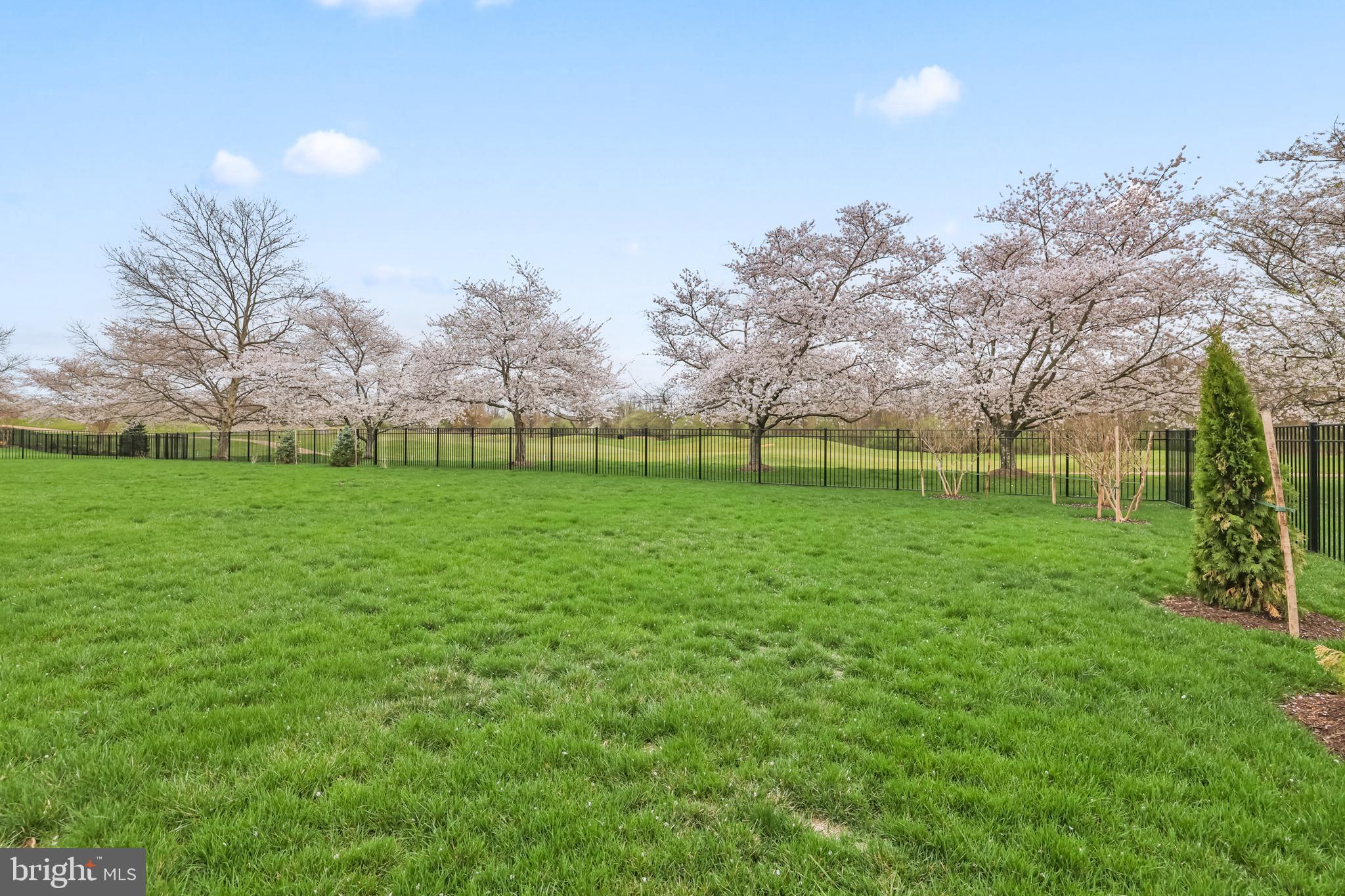 RASPBERRY FALLS - Residential