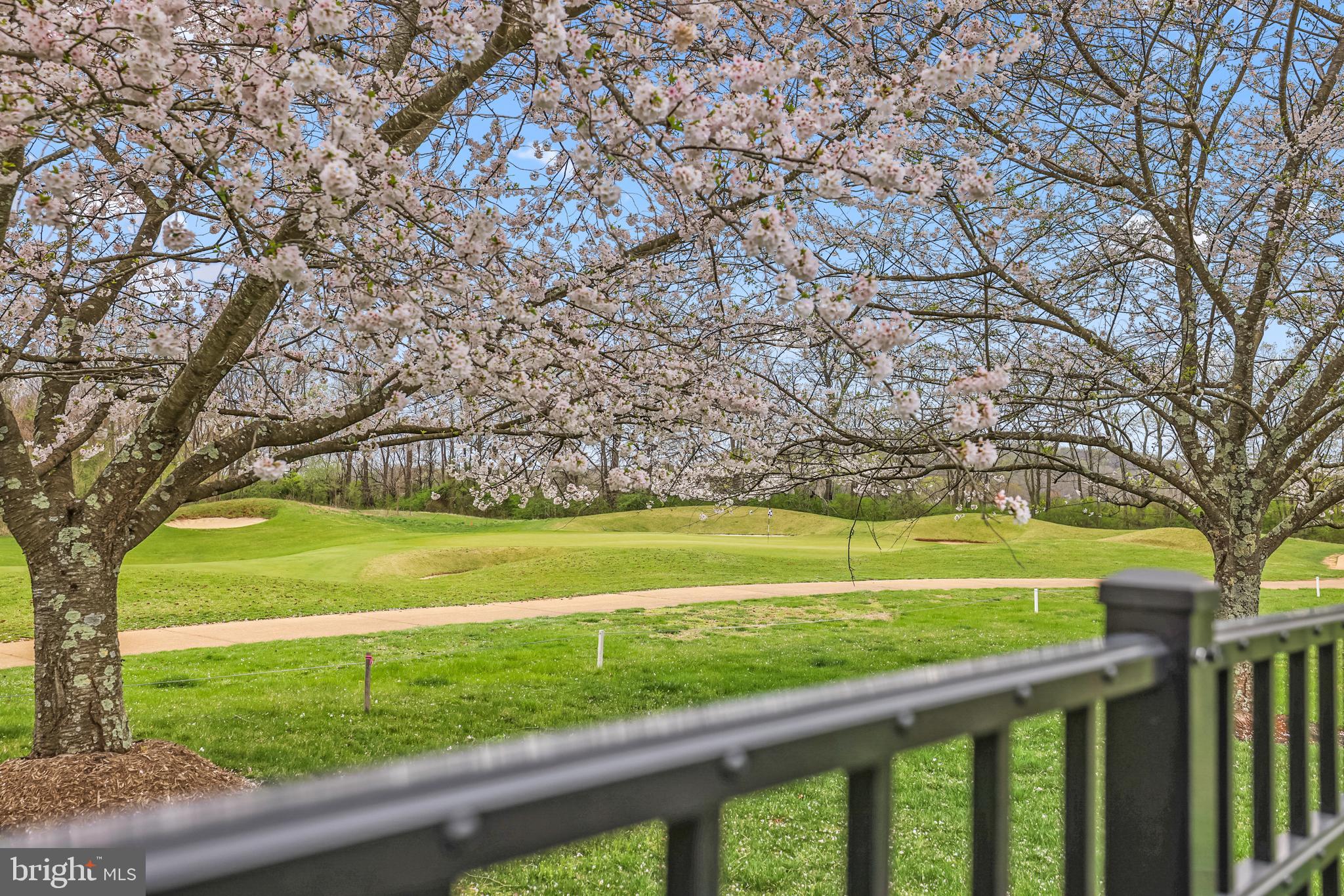 RASPBERRY FALLS - Residential