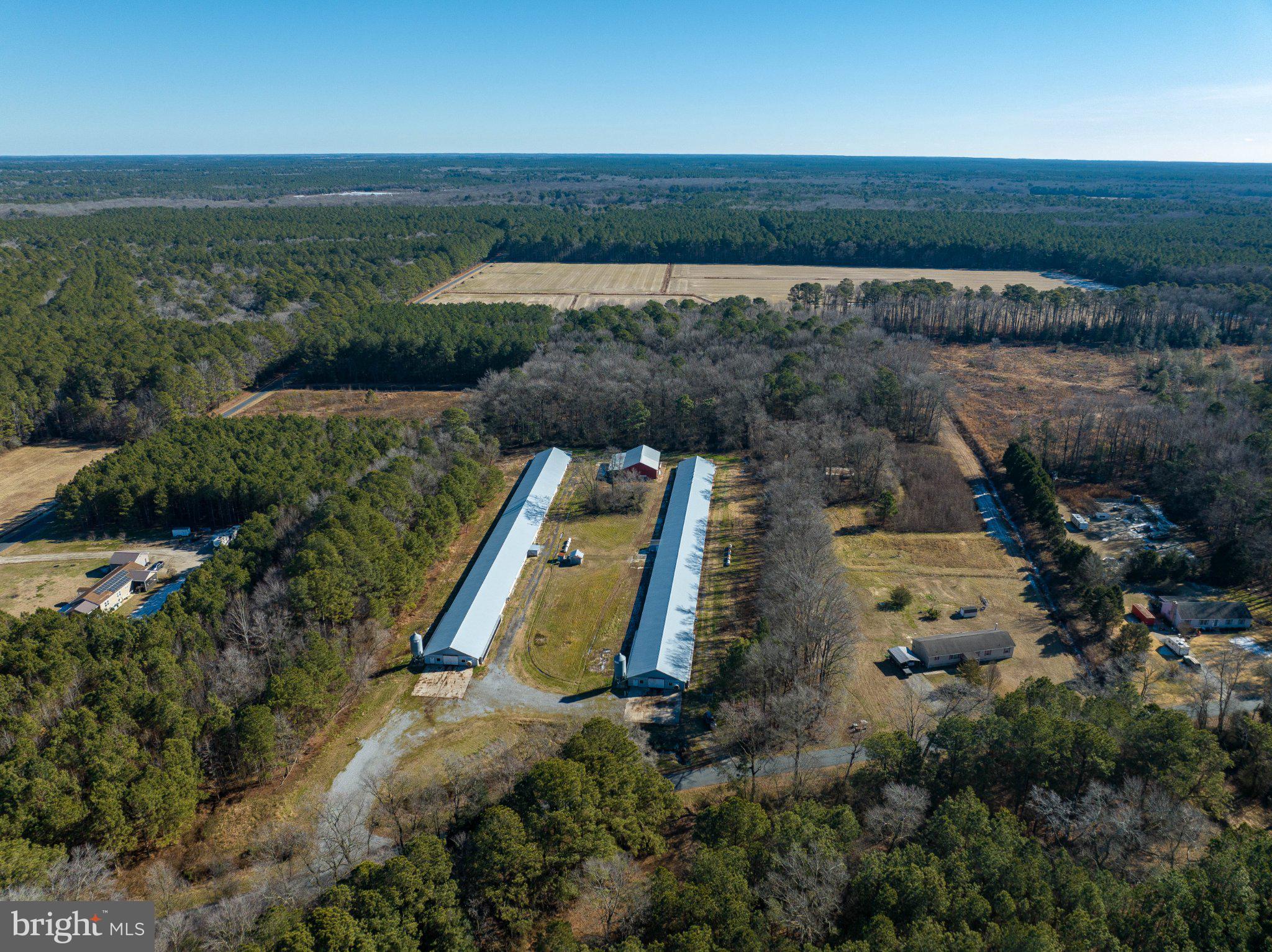 11245 PERRYHAWKIN CHURCH ROAD