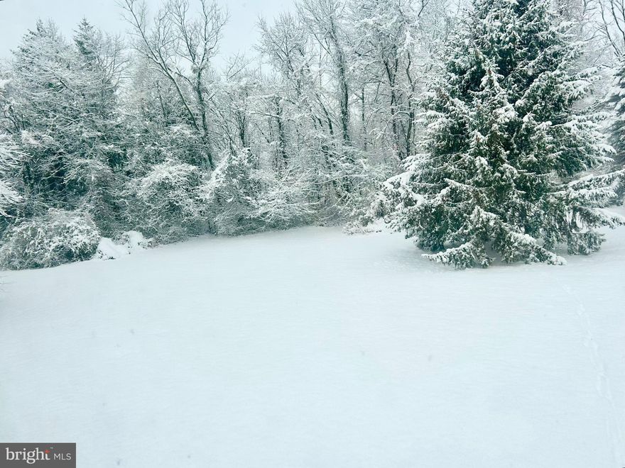 Weekday Open House Alert ! You are cordially invited to the  OPEN HOUSE 
THURSDAY DEC. 18TH 3 PM - 7 PM !!!!! Please join us !
Welcome to 34 Houk Road, Doylestown, Bucks County in the Central Bucks top rated school district. 
On 1.03 serene acres, your very own Winter Wonderland in the Pheasant Run neighborhood, a no through road, two car garage, four bedroom, two and a half bath, with a basement and low taxes that offers the comfort of a well-built, traditional,solid and sound Colonial home. 
Avoid both water and sewer bills. Yes ! $0.  
34 Houk Rd. is a few minute walk to Doylestown boro in an extremely family friendly neighborhood with year round community engagements and activities !
A new, high efficiency Rheem heater in 2024 for a low  electric bill and new water heater in 2023. 
With the layout made for real life, the room to live, grow and entertain it checks every box. Boasting amazing, new hardwood floors on the first level with additional upgrades throughout. The updated kitchen offers white cabinets,soft close drawers, newer stainless appliances and new quartz countertops. 
The four bedrooms are generously sized with ample storage and walk in closets in three of the bedrooms. 
The primary bedroom features an updated full bathroom, tile shower stall with glass doors and a walk-in closet. 
The basement boasts high ceilings suitable for finishing touches.
The two car garage offers ample storage with the large alcove and additionally the pull down stairs to the huge floored attic. 
Outside, the expansive, fenced in yard, play spaces and a maintenance free Trex deck gives you just over an acre to enjoy what your new chapter calls for. Located in Doylestown, you're just moments from charming shops, dining, parks and top-rated schools. A home in a picturesque community ready for its next proud owner to enjoy peace and privacy. Central Bucks High School-West receives high ratings from various sources, with a ranking of #34 in Pennsylvania, an A rating overall and received a perfect 10/10 score. Other rankings include #17 in Bucks County and #30 in the Philadelphia area. C.B school district overall grade A+ in College Prep and A in Academics and Teachers categories.