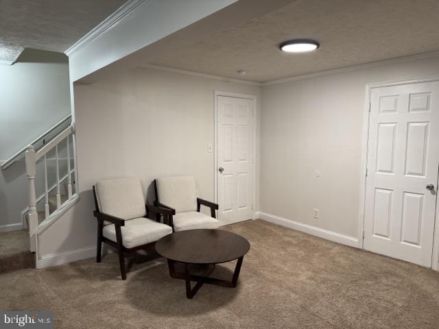 STAFFORD MEWS - Residential