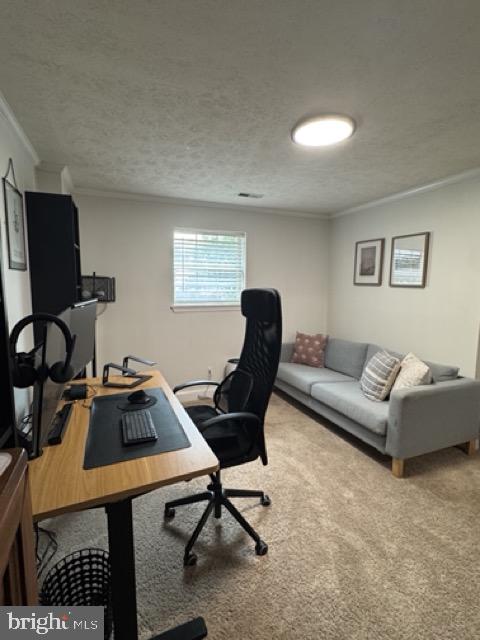 STAFFORD MEWS - Residential