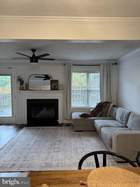 STAFFORD MEWS - Residential