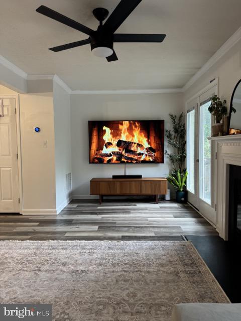 STAFFORD MEWS - Residential