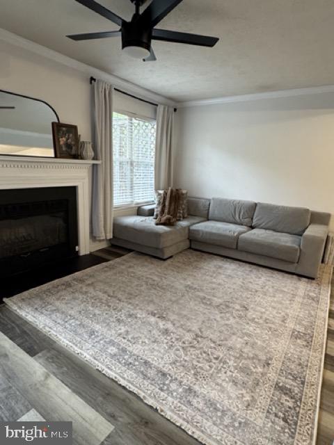 STAFFORD MEWS - Residential