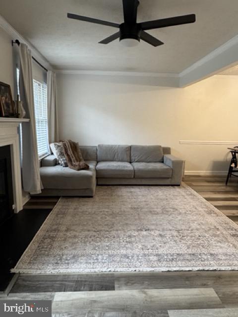 STAFFORD MEWS - Residential