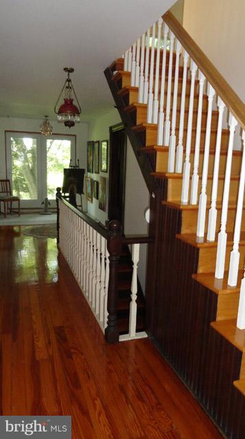 HEAD SPRINGS - Residential