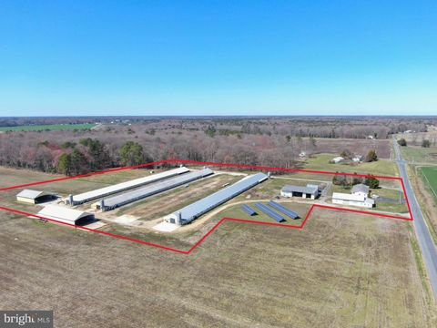 14564 BLANCHARD ROAD BRIDGEVILLE DE 19933