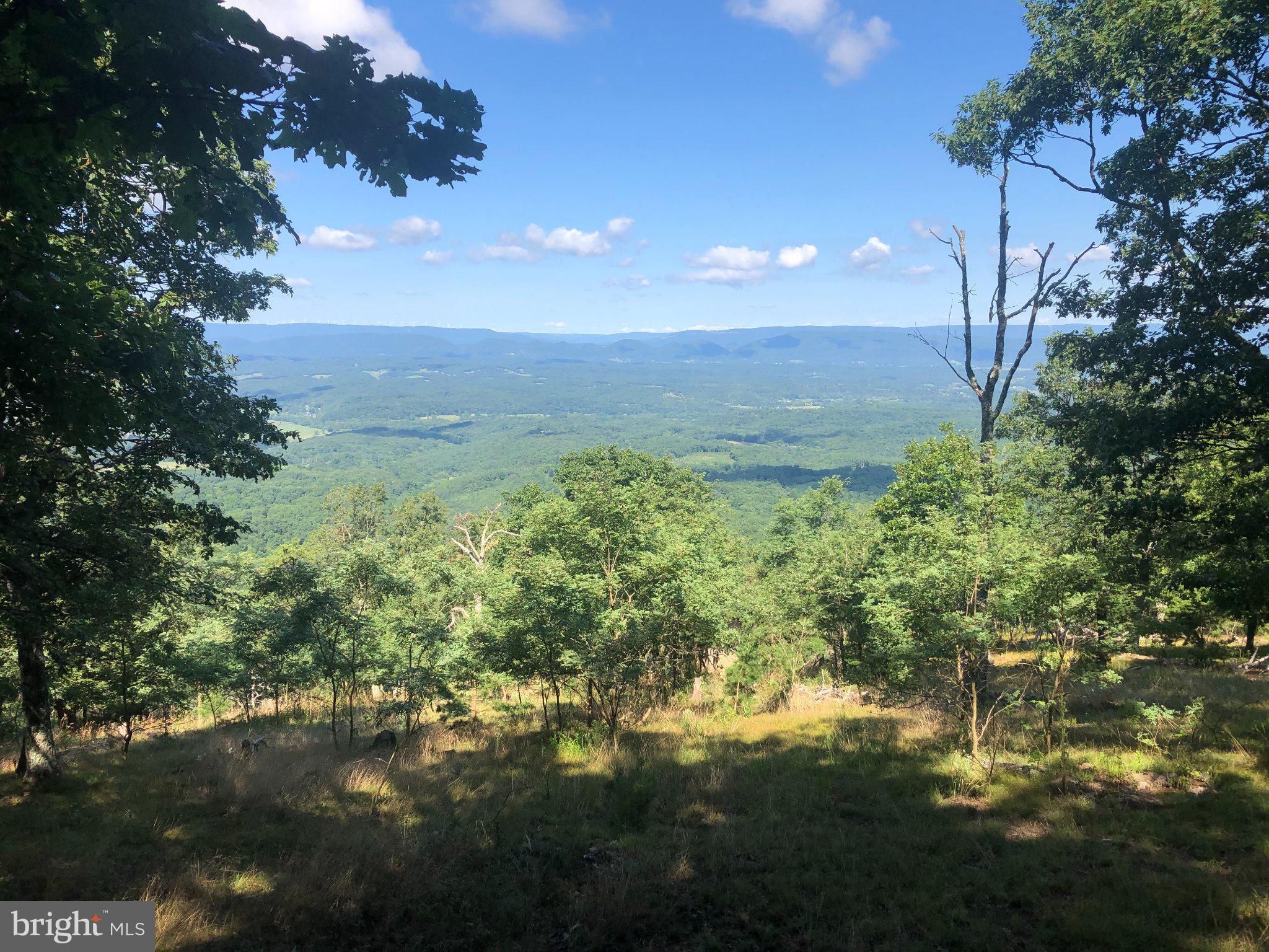 204 BLUFFS ON THE POTOMAC