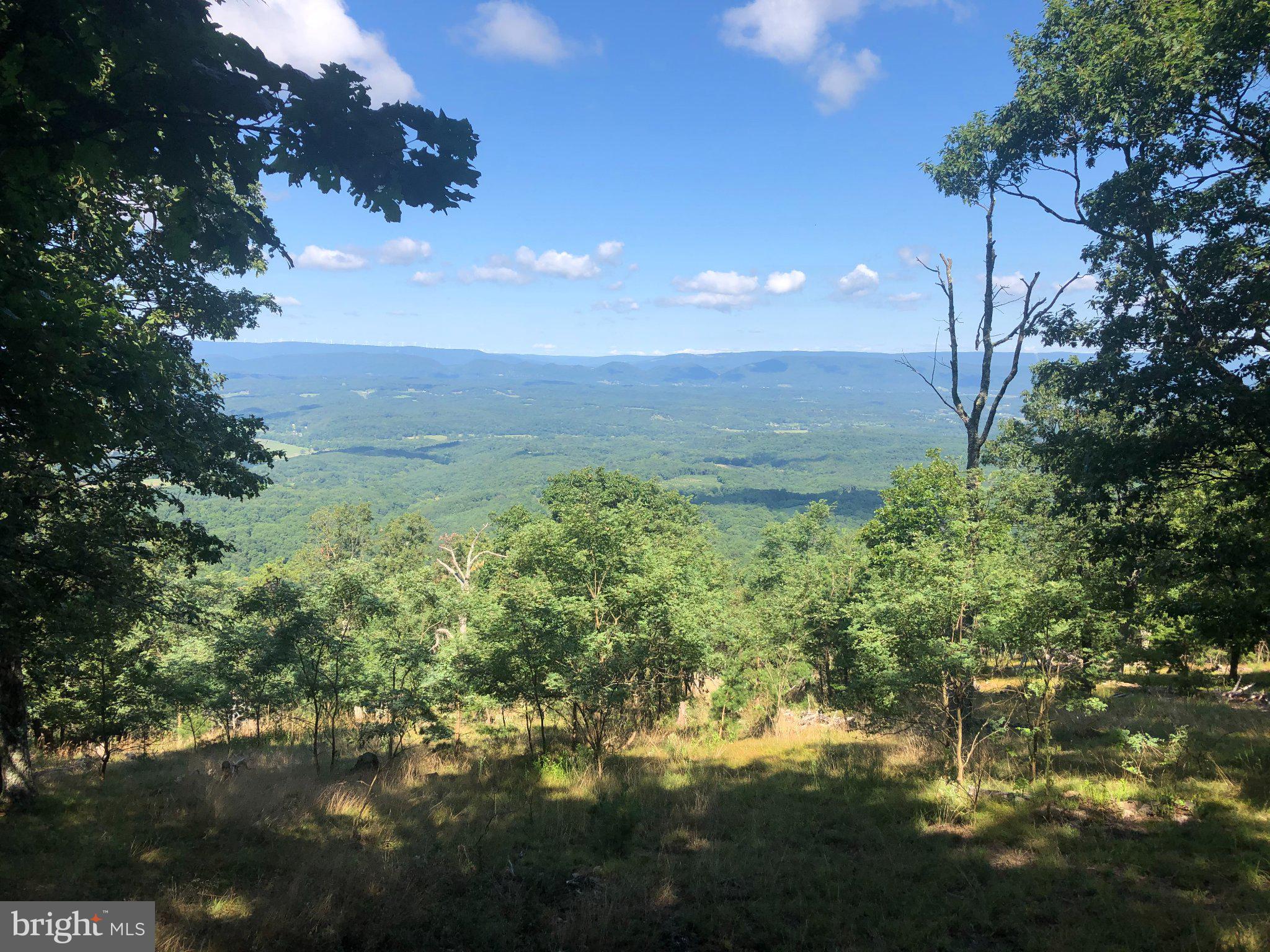 204 BLUFFS ON THE POTOMAC