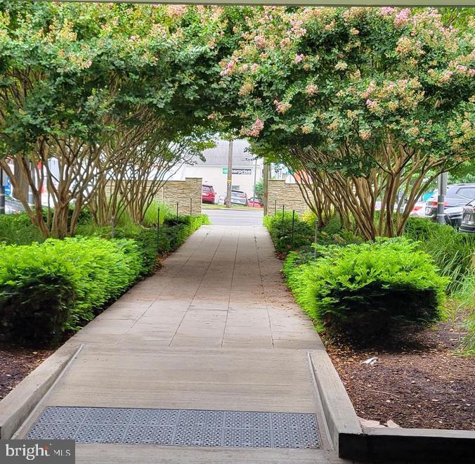 KENWOOD - Residential