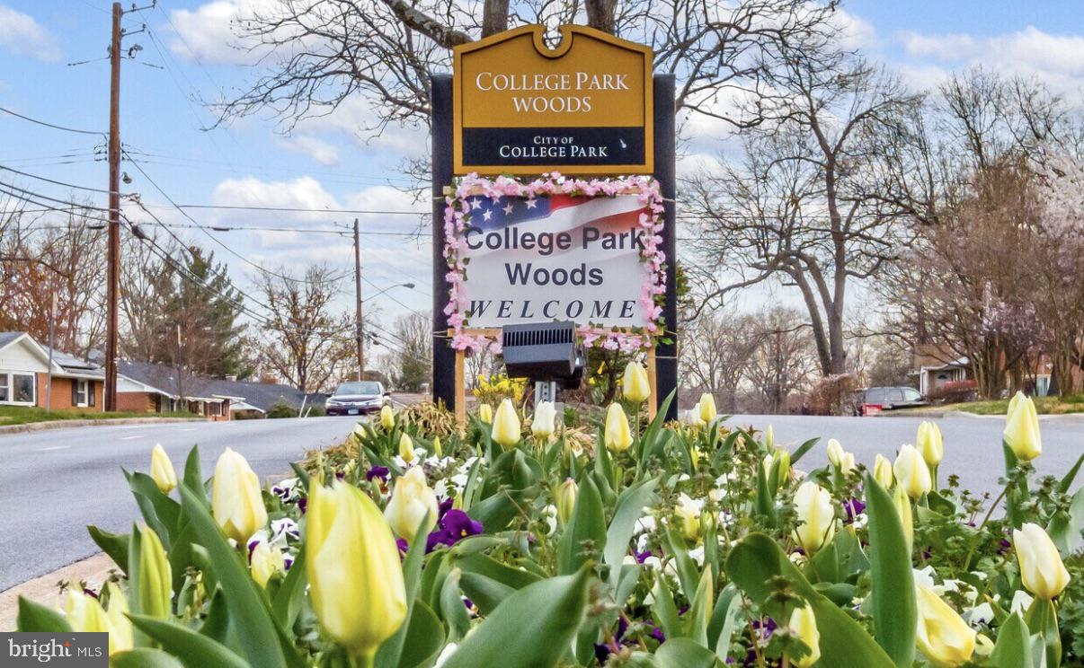 SUNNYSIDE - Residential