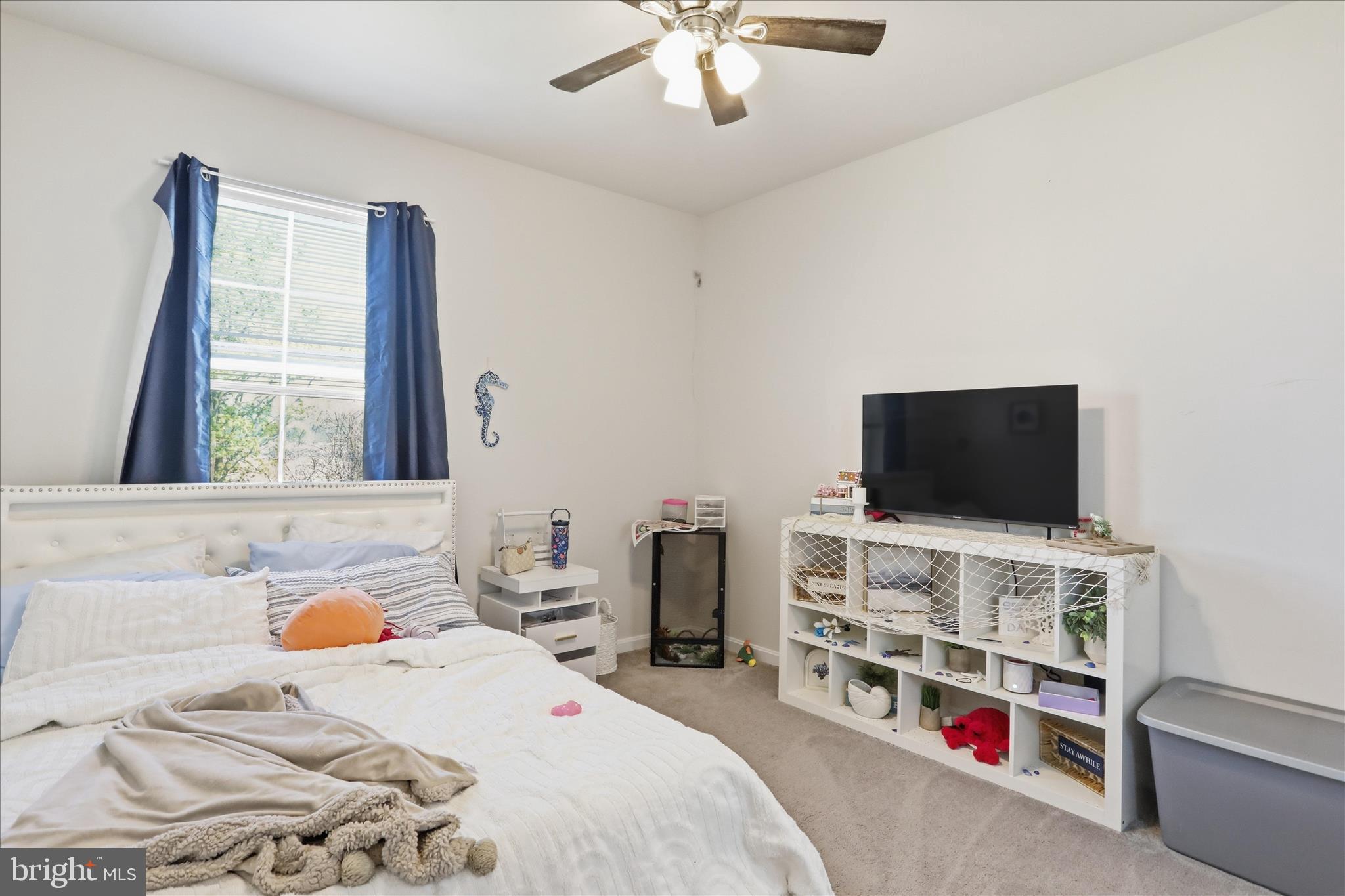 NORBORNE GLEBE - Residential